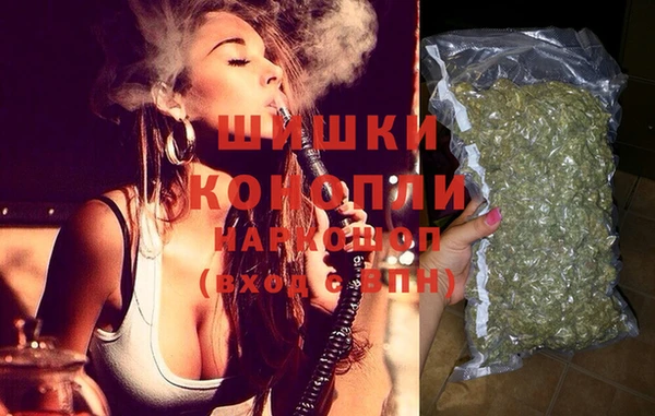 шишки Богородск