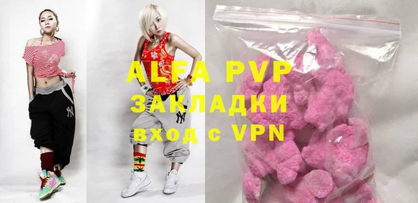 spice Богородицк