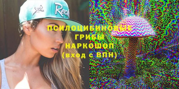 spice Богородицк