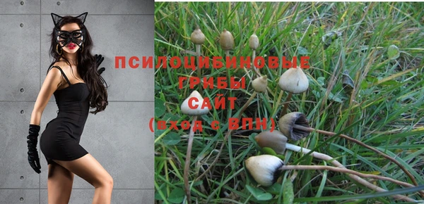 кокаин VHQ Богданович