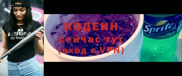 шишки Богородск