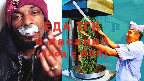 spice Богородицк