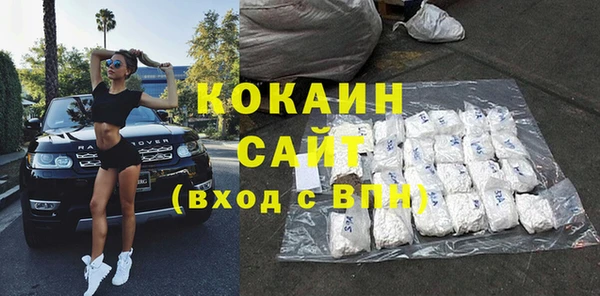 spice Богородицк