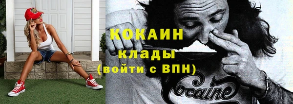 spice Богородицк