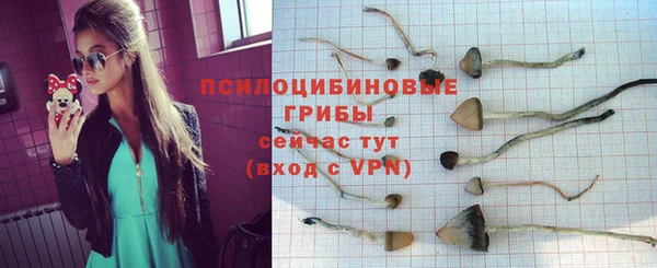 шишки Богородск