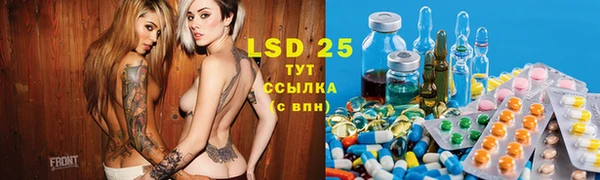 spice Богородицк