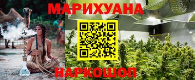 прущие крисы Бийск