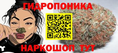 прущие крисы Бийск