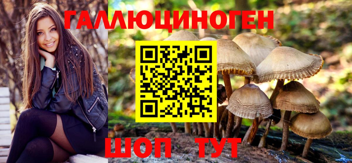 Псилоцибиновые грибы Cubensis Гусев