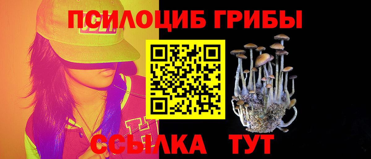 Гусев  Псилоцибиновые грибы Psilocybine cubensis  Вход с VPN  Псилоцибиновые грибы мухоморы 
